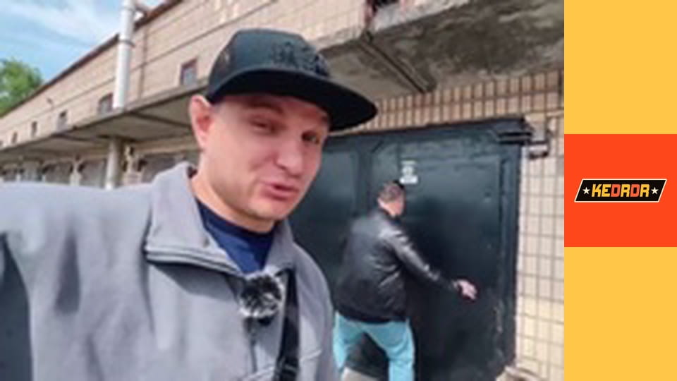 Multi-brand car Porsche 924/Volkswagen