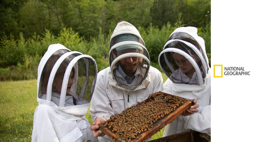 Tajemství včel S1E1 - Roj