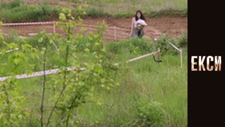 Екси, Сезон 2, Випуск 3