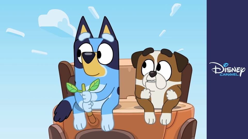 Bluey E123 - Řízení