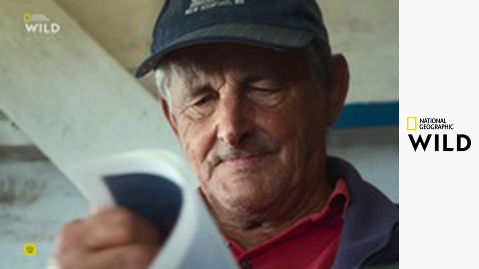 Зима медведя