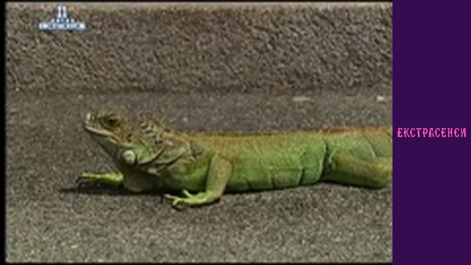 Сезон 11, Випуск 1, Частина 2