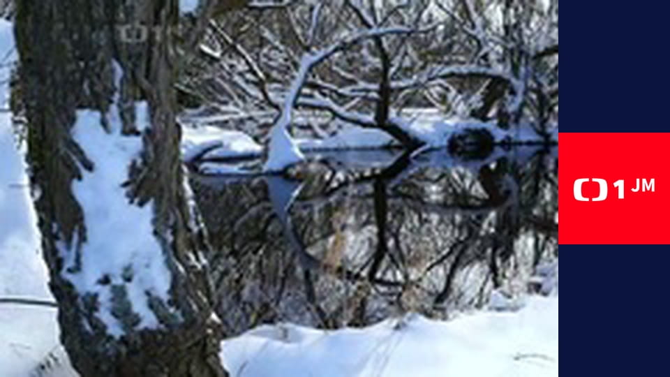 Zpátky do přírody - Jizerské hory