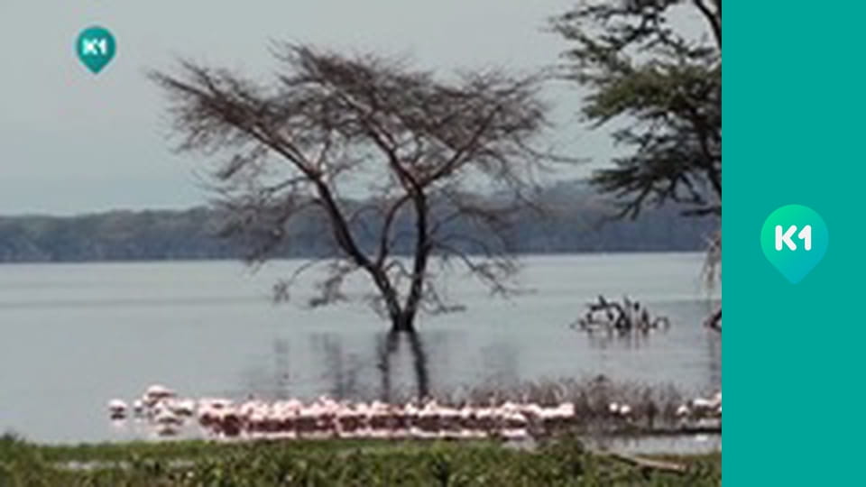 "Світ_огляд с Машей Себовой".