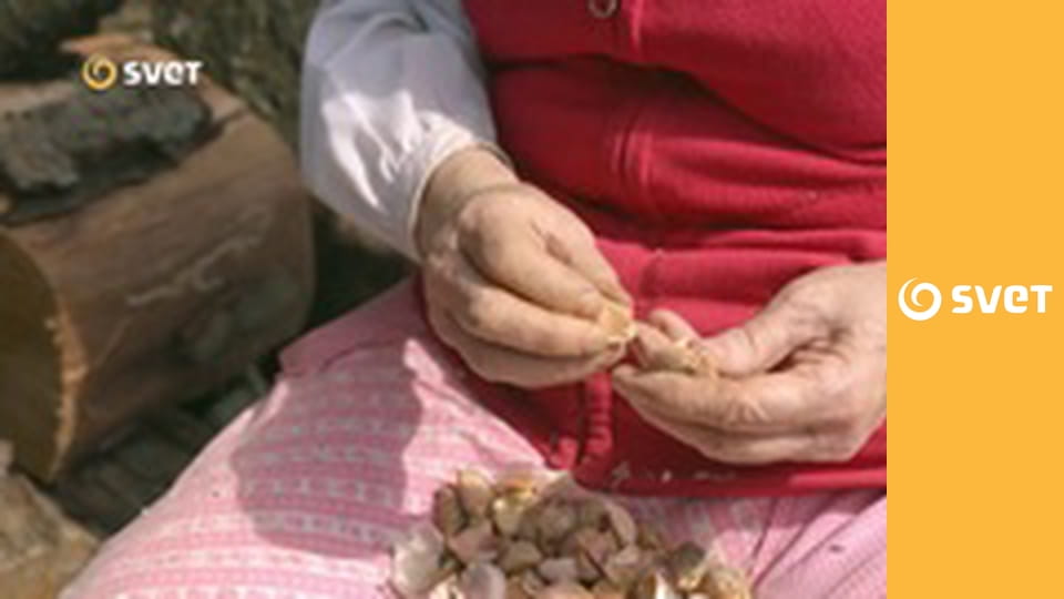 Bizár na tanieri - Ako chutia ondatry?