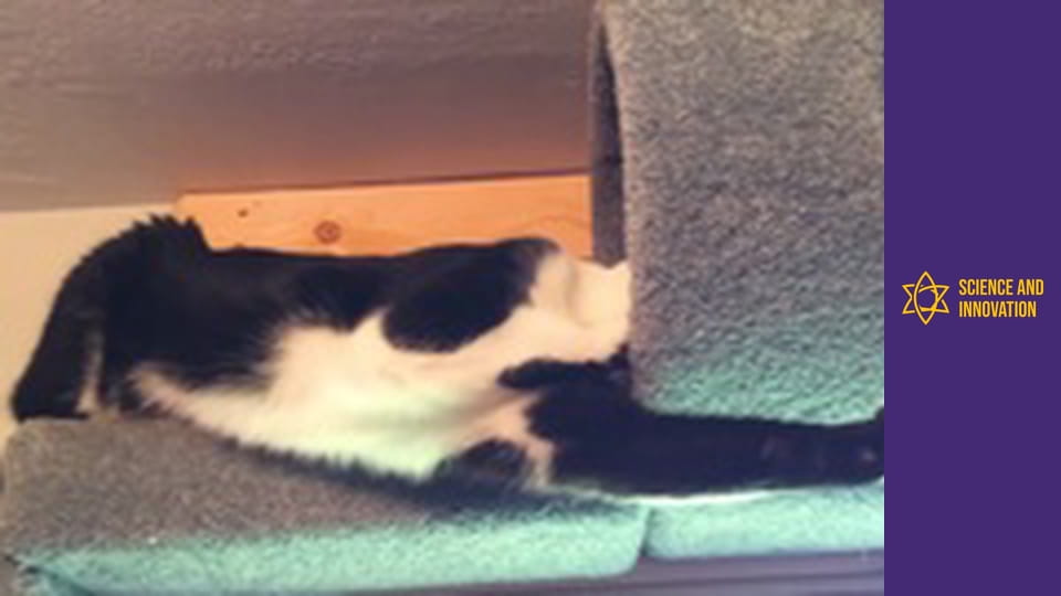 Science and Innovation Сезон 1 Епізод 7