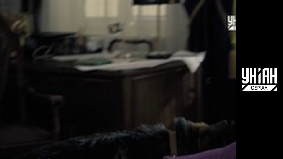 Комісар Алекс