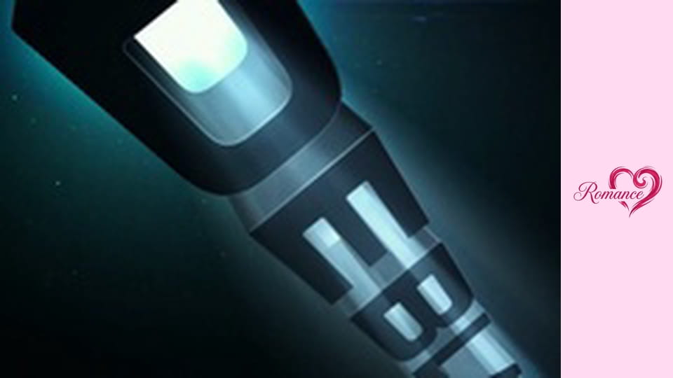 PERFECT MATCH, THE (Romance PL)