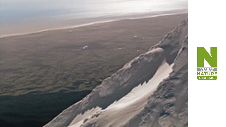 Wild New Zealand Season 1 Episode 2