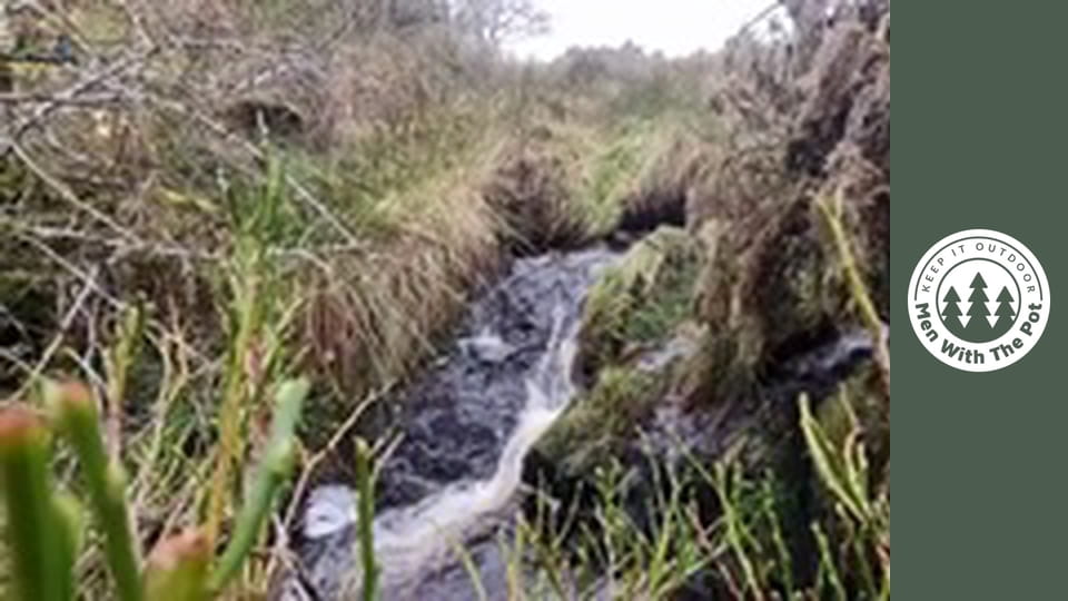 Crispy Whole Chicken with Potatoes and vegetables