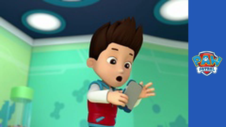 Psi Patrol Sezon 1 Odcinek 16