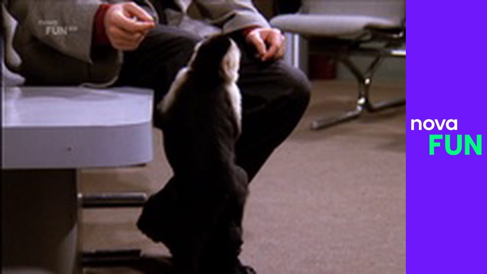 Teorie velkého třesku S5E1 - Analýza děvkovského reflexu