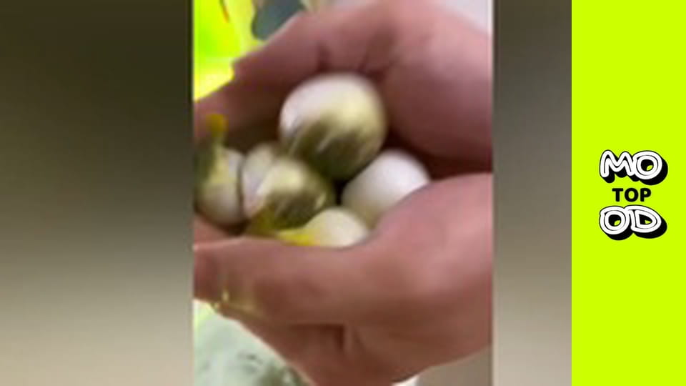 Top Mood, Сезон 2, Episode 12