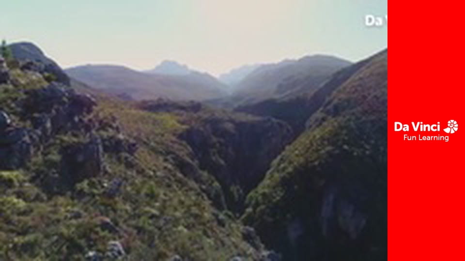 Сияя - Дикий мыс - Природный заповедник Готтентотс-Голланд - на крыльях ангела