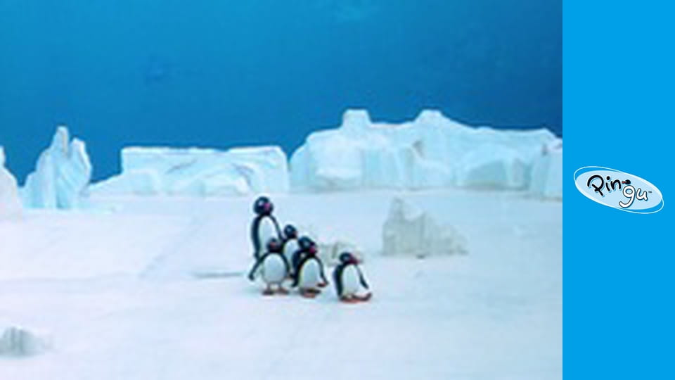 Pingu Сезон 2 Эпизод 22