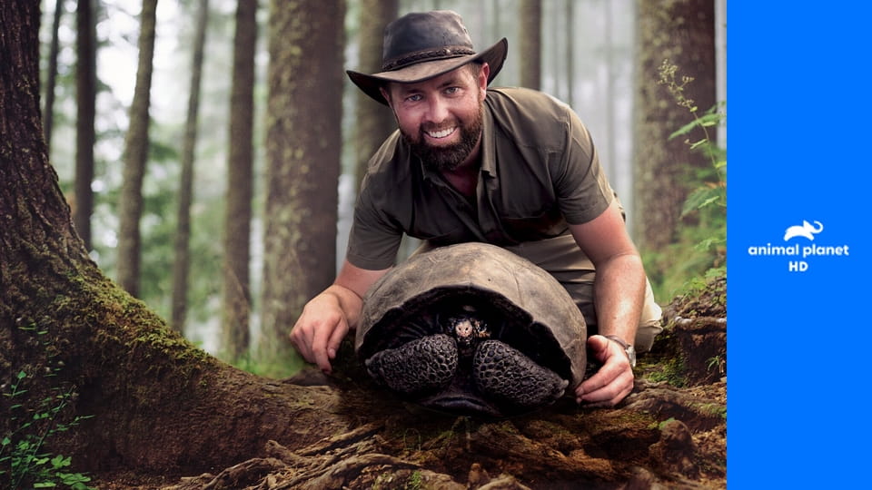 Живой или вымерший S2E8 - Волк южных Скалистых гор