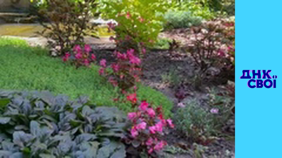 Сезон 3, Випуск 11