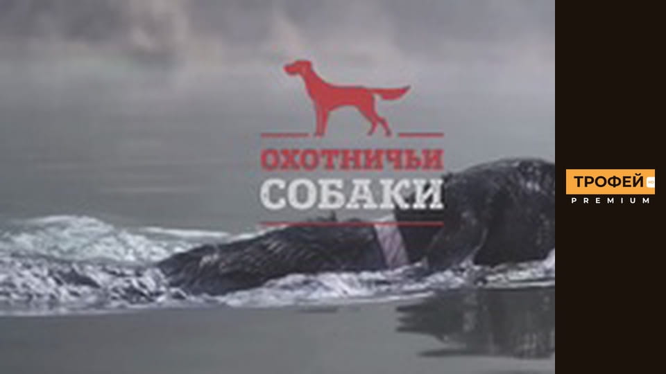 Мисливські собаки. Серiя 33