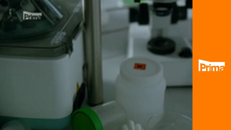 Policie Hamburk S15E11 - Tábor pro chlapy