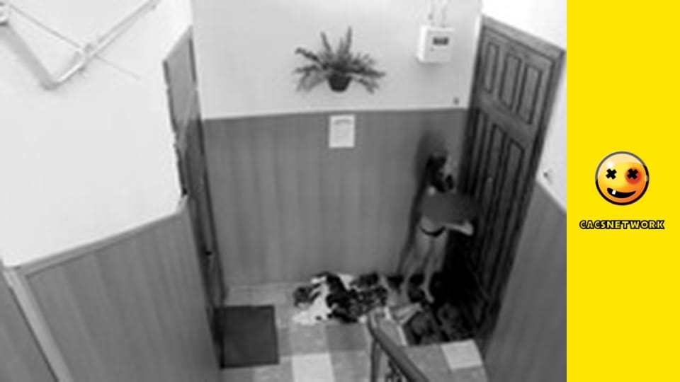 2Rude4UTube, 6 еп.