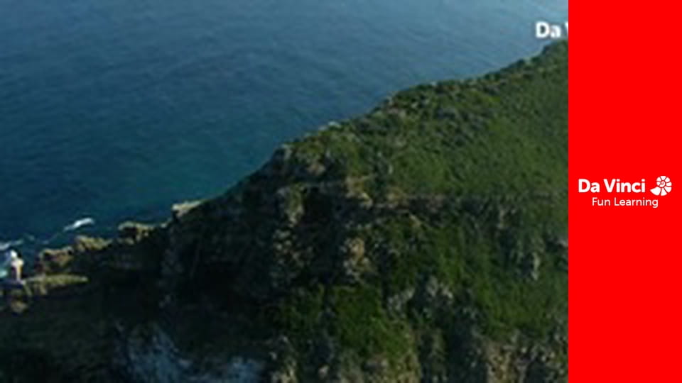 Сіяя - Рушайте з нами - Хроніки узбережжя