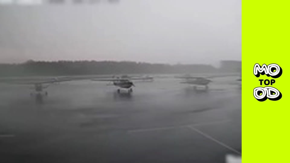 TopMood - Випуск 20