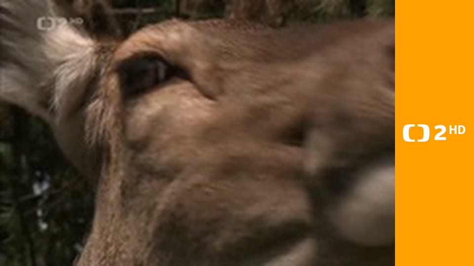 Přidej se - Cyklostezky v Beskydech