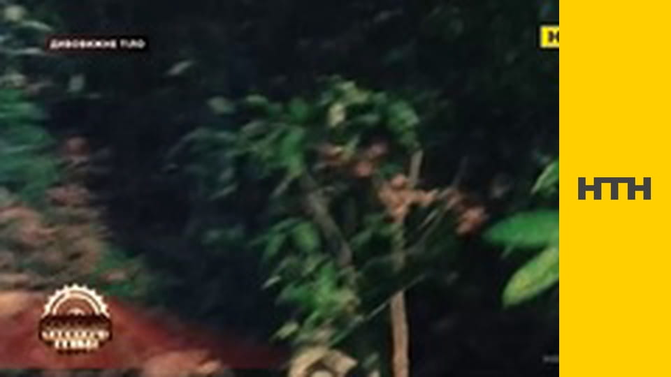 "Таємниці світу".