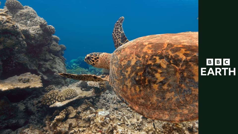 Planeta zmian S2E1 - Malediwy, USA i Grenlandia