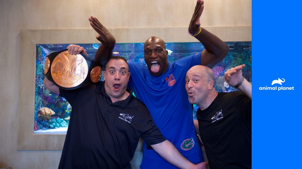 Akváriá na mieru S6E7 - Akvária obľúbené na internete