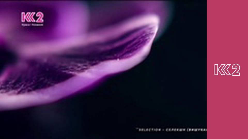 Сімейний суд E49 - Справа лікарів