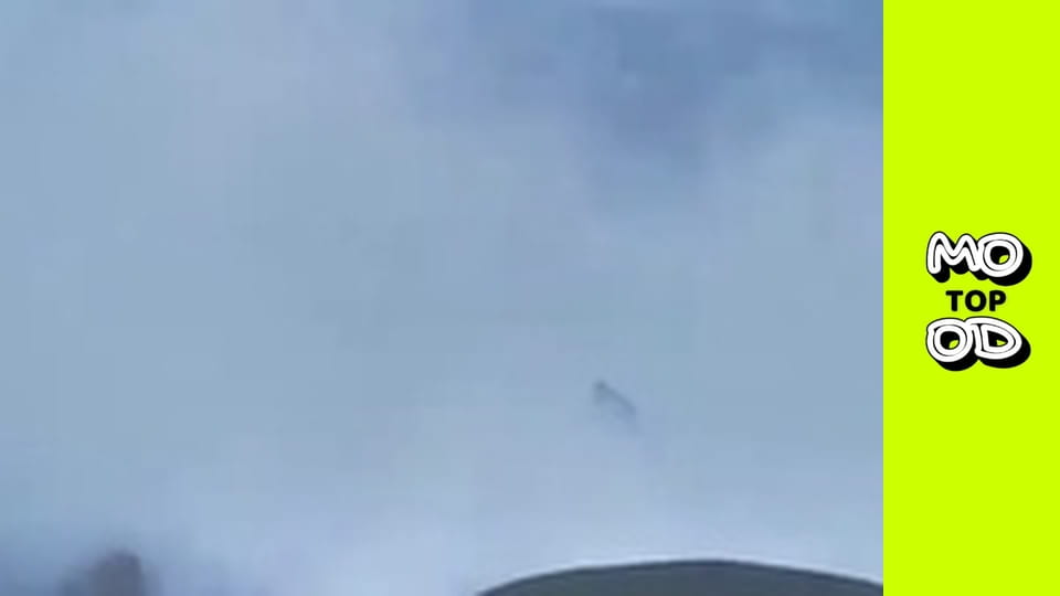 TopMood Сезон 4 Епізод 13