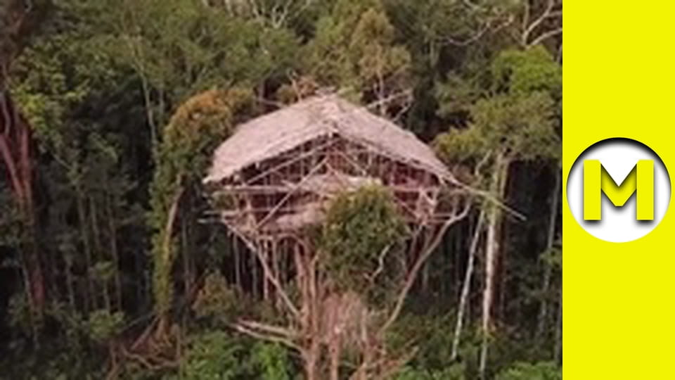 Max TV - сезон 1 - серія 131