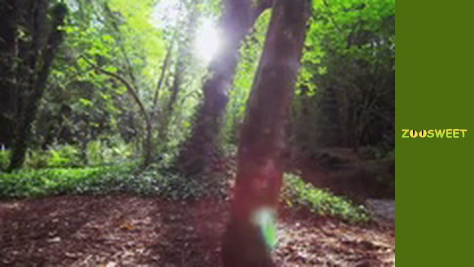 Супер чутье - cерия 7