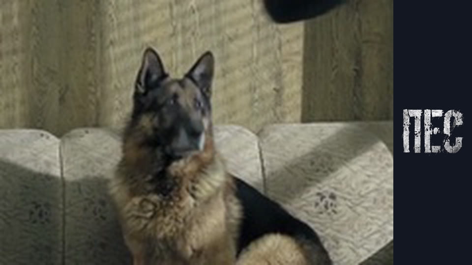 Пес, Сезон 6, Серія 37