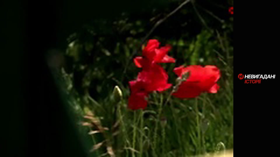 Невигадані історії. Андріївка.