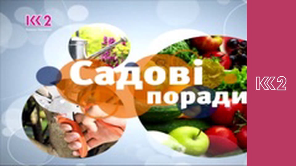 Удачний проект S3E19