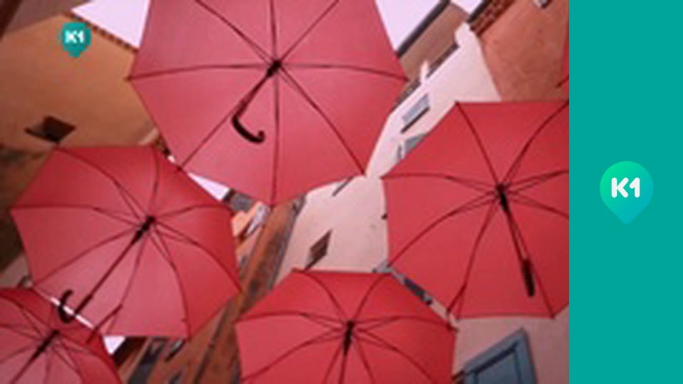 "Приключения с Яной Метёлкиной".