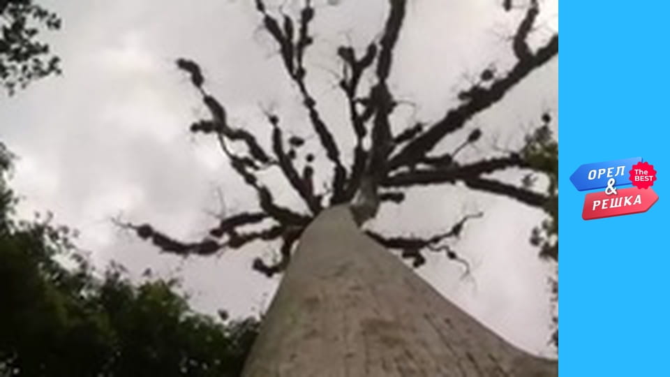 100 доларів, Випуск 46