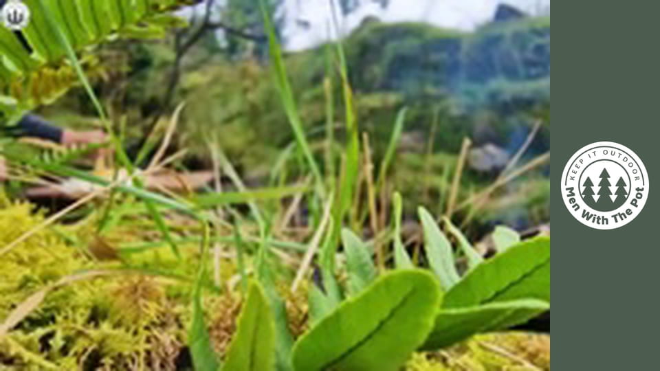 BEST Pasta Cooked in Nature