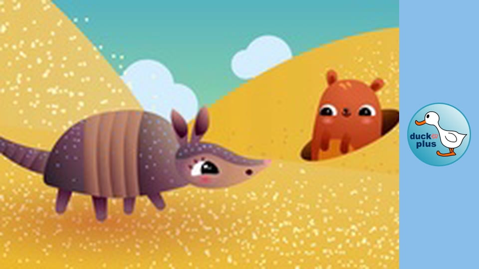 Home Sweet Home - Armadillo