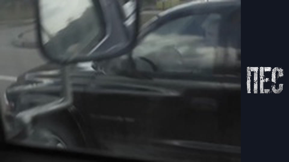 Пёс, Сезон 1, Серия 5