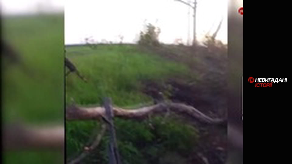 Невигадані історії.