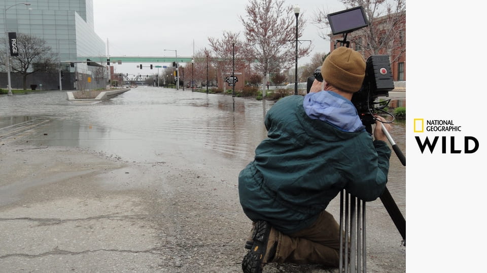 Тайны Миссисипи S1E1