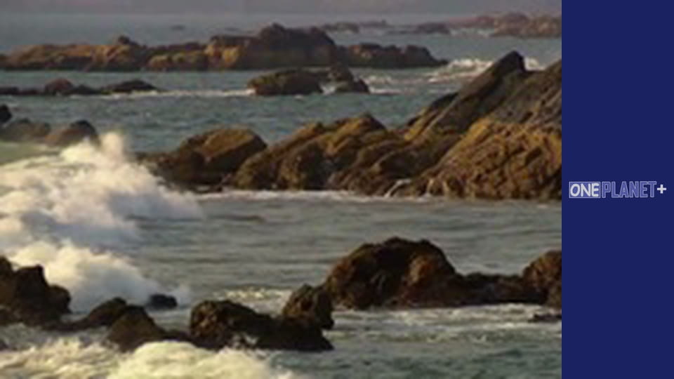 Залізничні Історіі - cерия 7