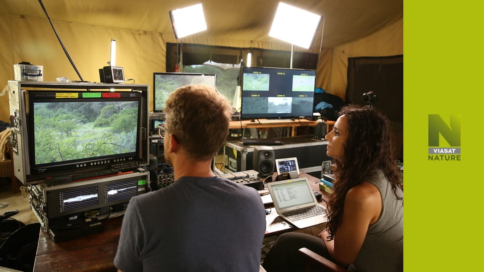 Водопій: тваринний оазис Африки S1E2