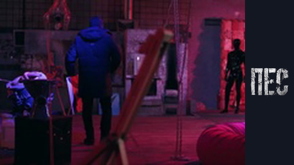 Dog, Season 5, Episode 20