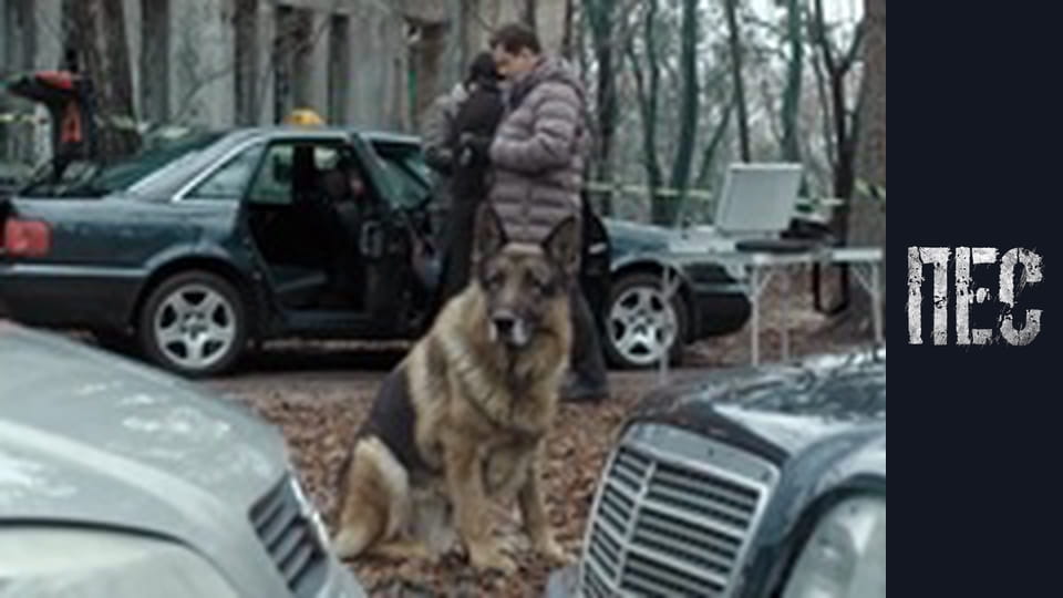 Пёс, Сезон 6, Серия 31