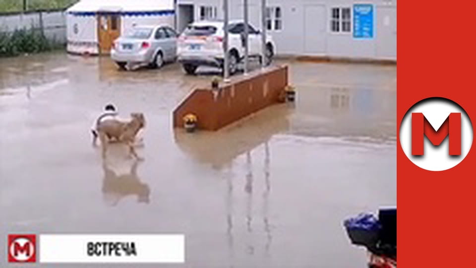 "Макс ТОП" сезон 1 серия 33