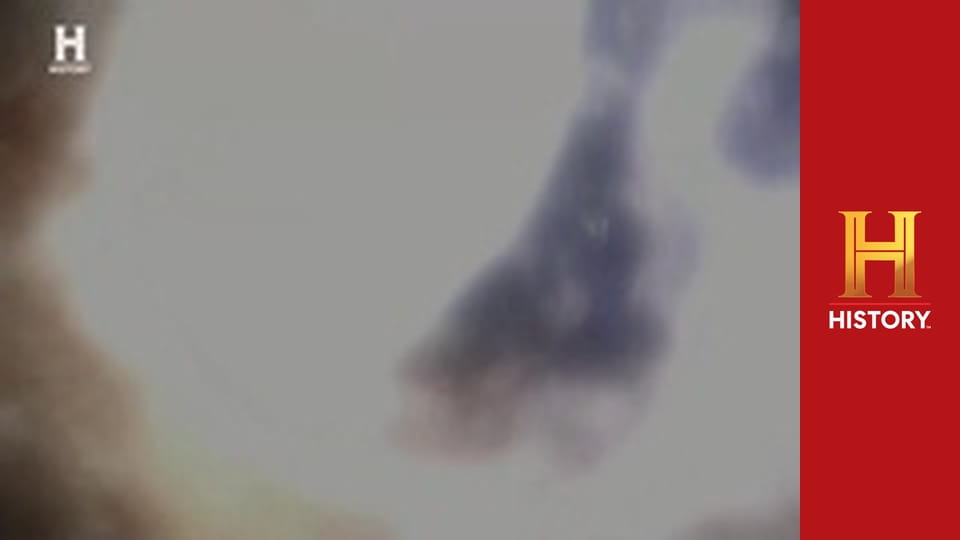 Проклятие острова Оук, 12 сезон, 19 эп. Движение вперед.